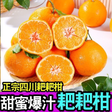 【热卖】春见耙耙柑四川果粒饱满清甜化渣汁水充足