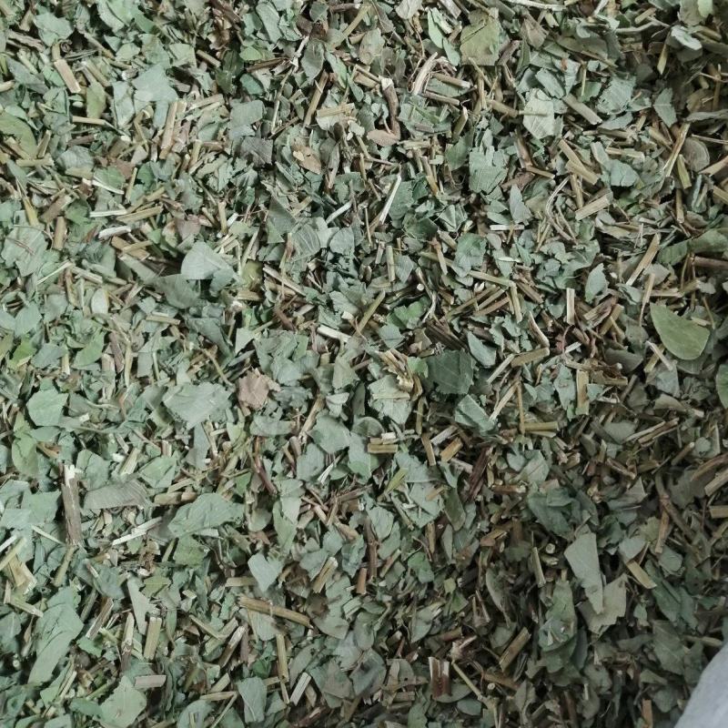 广金钱草金钱草