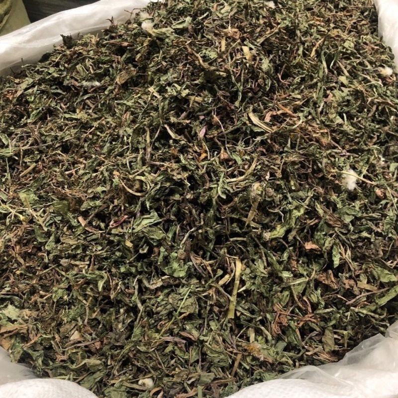 蒲公英叶片切碎蒲公英新鲜浦公英干货蒲公英泡水喝