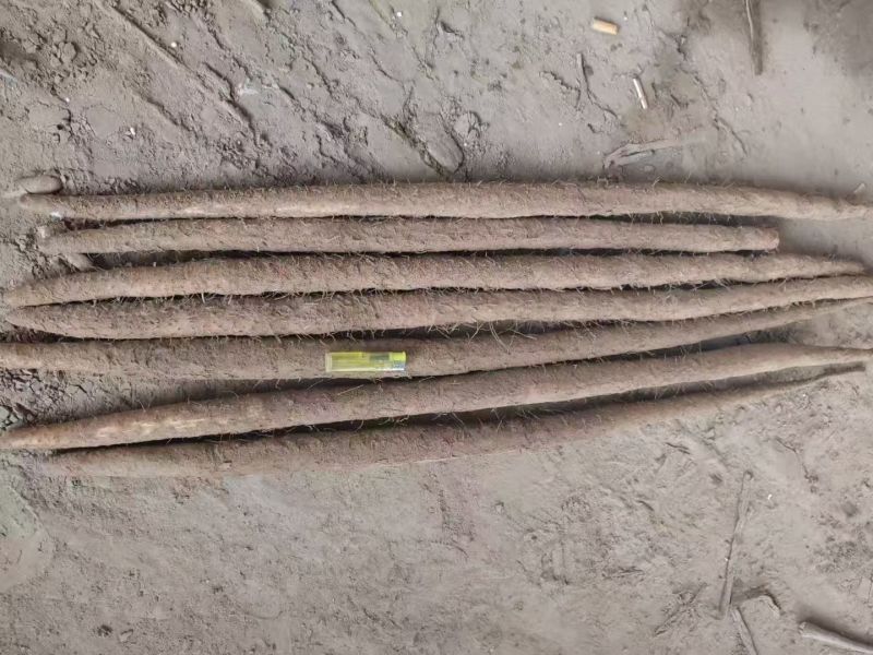 铁棍山药