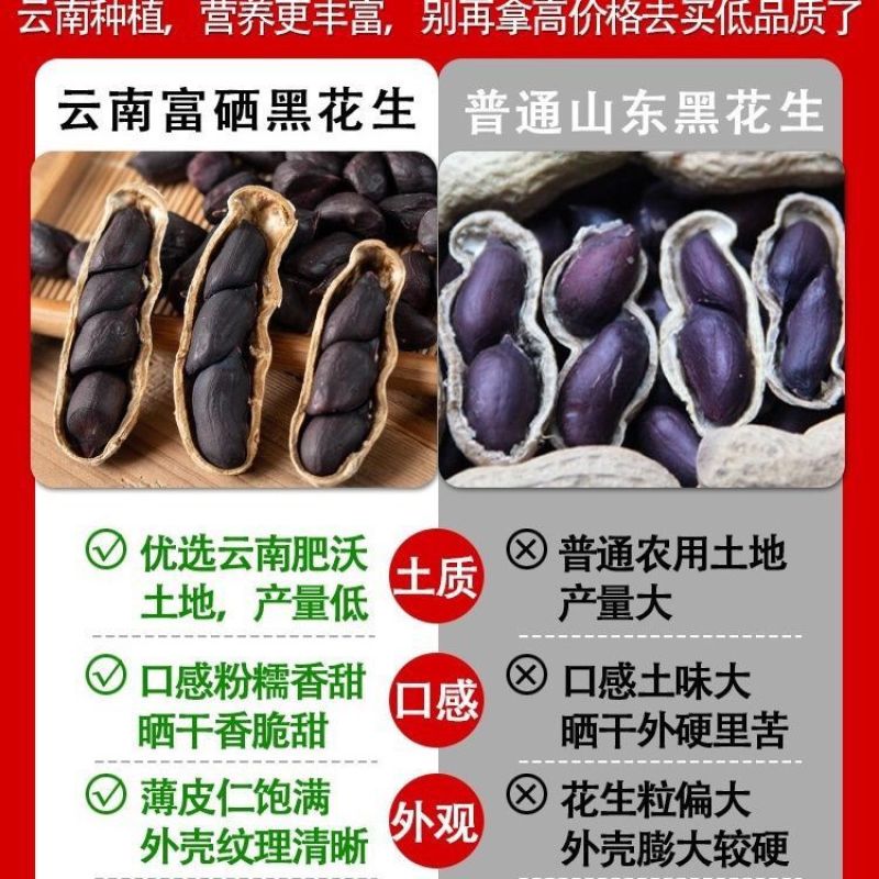云南富硒黑花生带壳新货富硒黑花生正宗种子紫皮花生