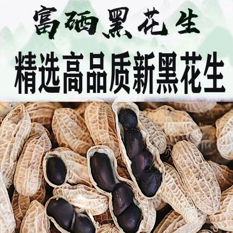 云南富硒黑花生带壳新货富硒黑花生正宗种子紫皮花生