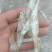 毛刀鱼干，凤尾鱼干
