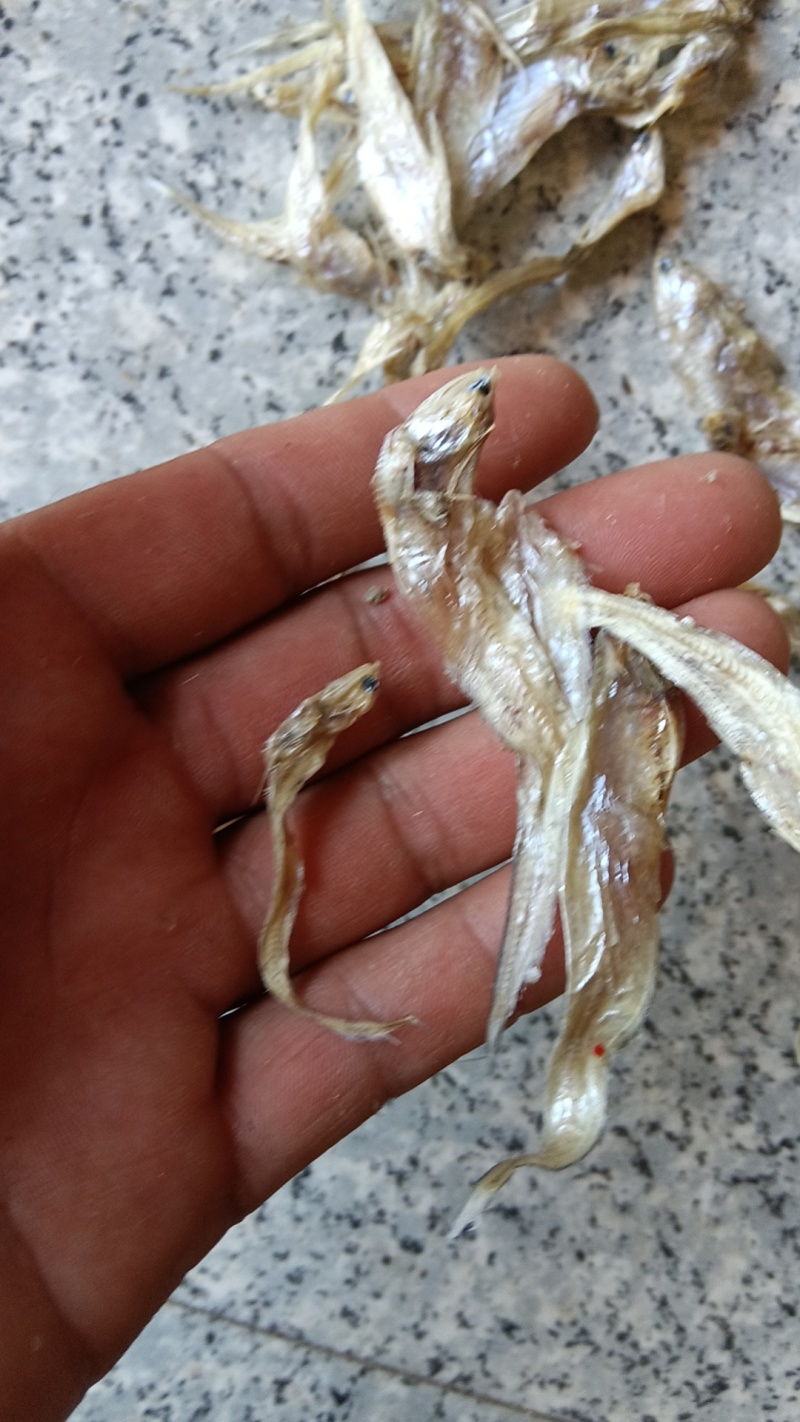 毛刀鱼干，凤尾鱼干