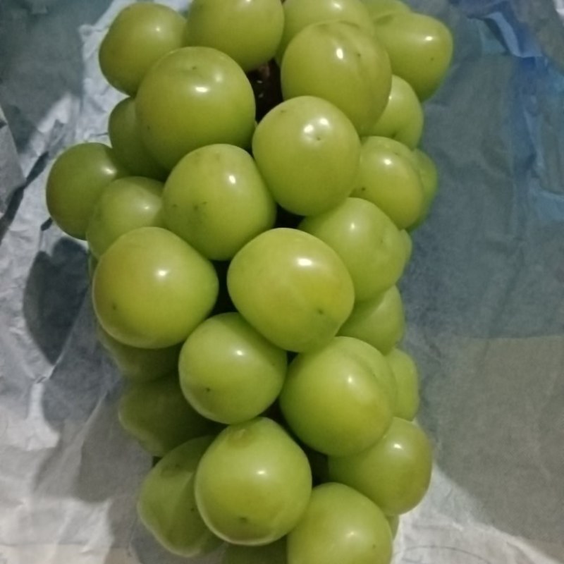 高原阳光玫瑰葡萄，高品质基地货。
