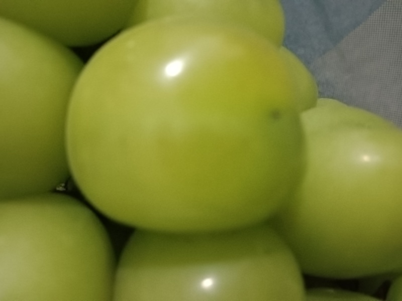 高原阳光玫瑰葡萄，高品质基地货。