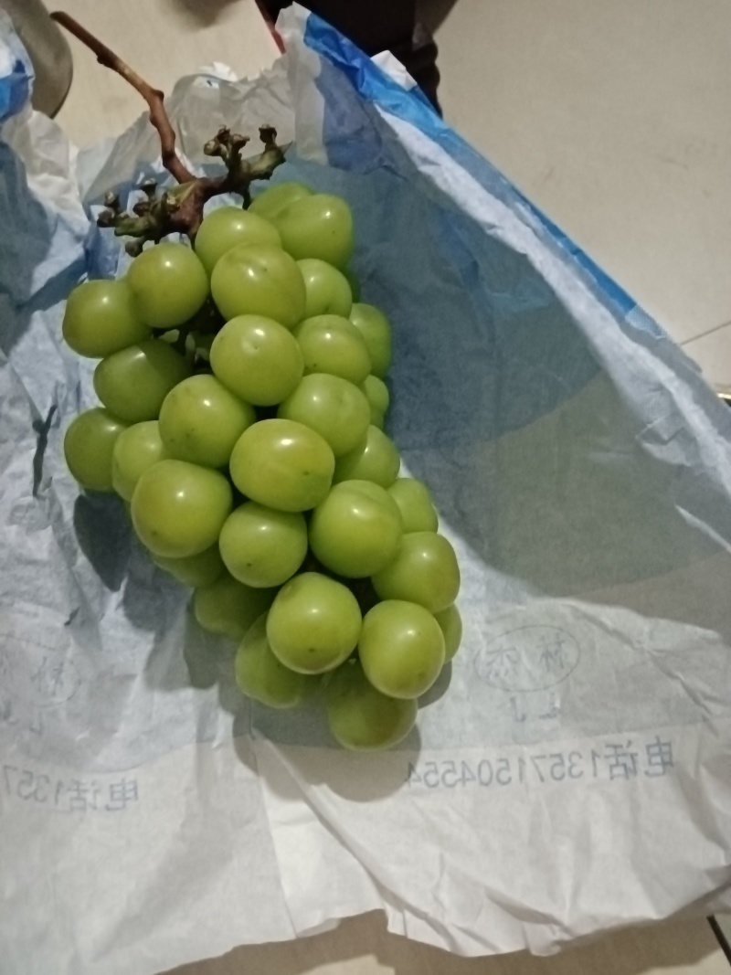 高原阳光玫瑰葡萄，高品质基地货。