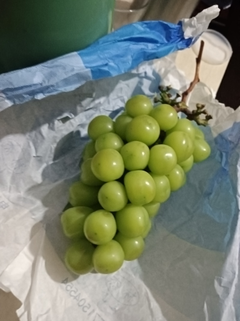 高原阳光玫瑰葡萄，高品质基地货。