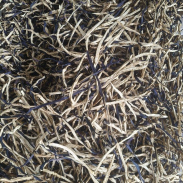 ******，优质10*10茄子干条，量大从优