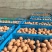 辽宁红皮鸡蛋养殖场直发品质保证对接市场商超电商