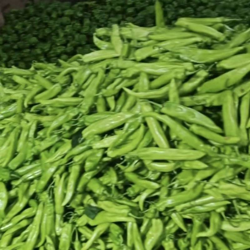 黄皮尖椒