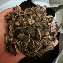 玄参中药材玄参，圆片玄参，产地直销，批发销售量大从优