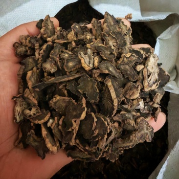 玄参中药材玄参，圆片玄参，产地直销，批发销售量大从优