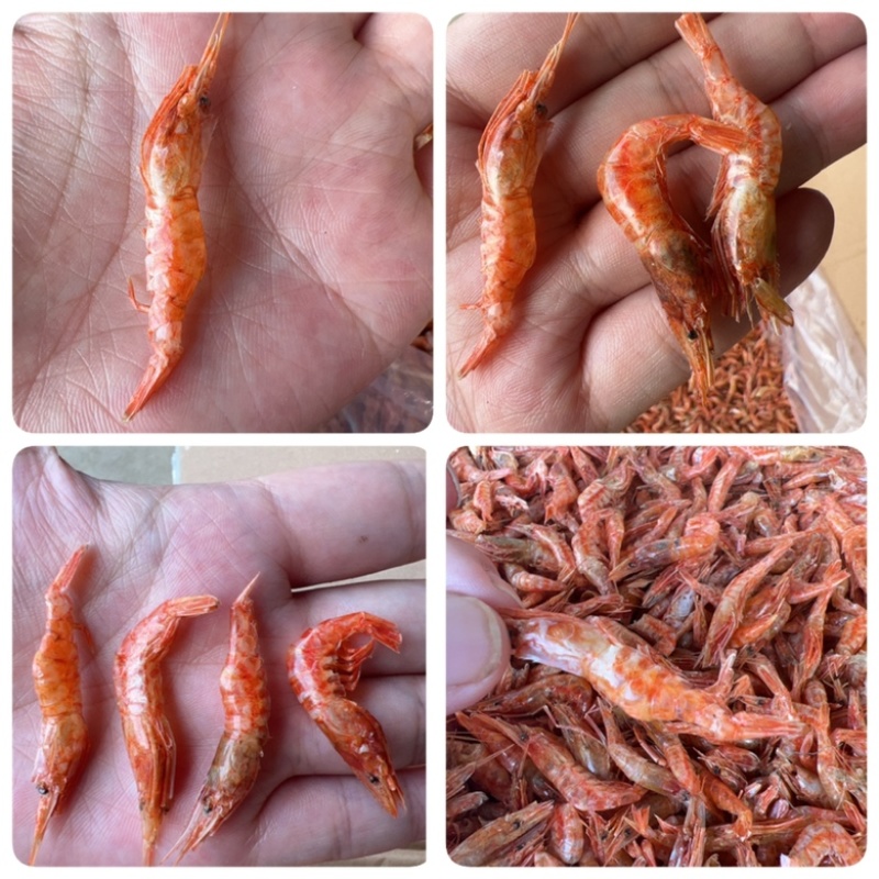 樱花虾干地摊电商批发红虾烘干虾樱花虾干干虾河虾干