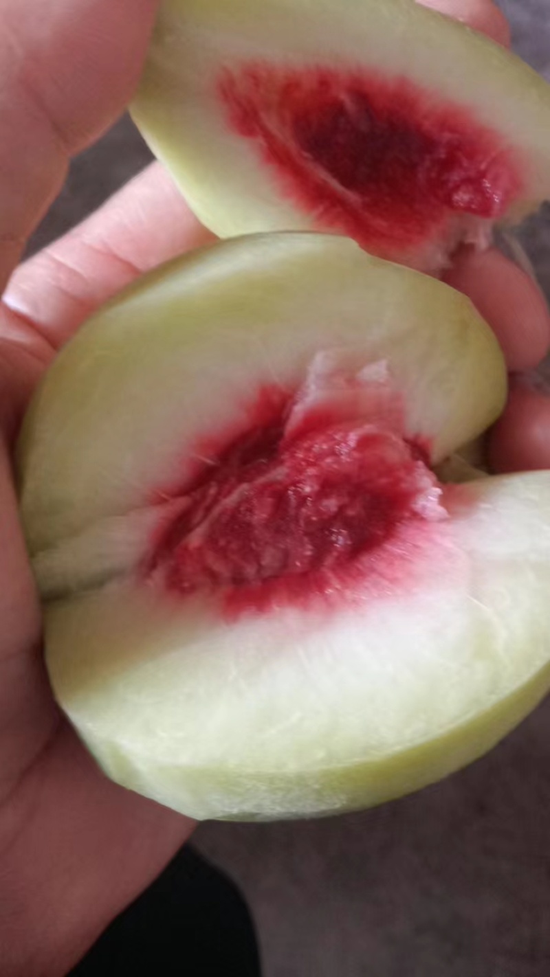 蜜脆桃桃子蜜桃主产地大量有货。