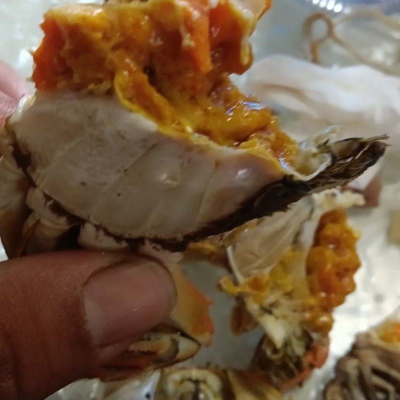 正宗江苏兴化大闸蟹肉质饱满，底板干净满膏满黄