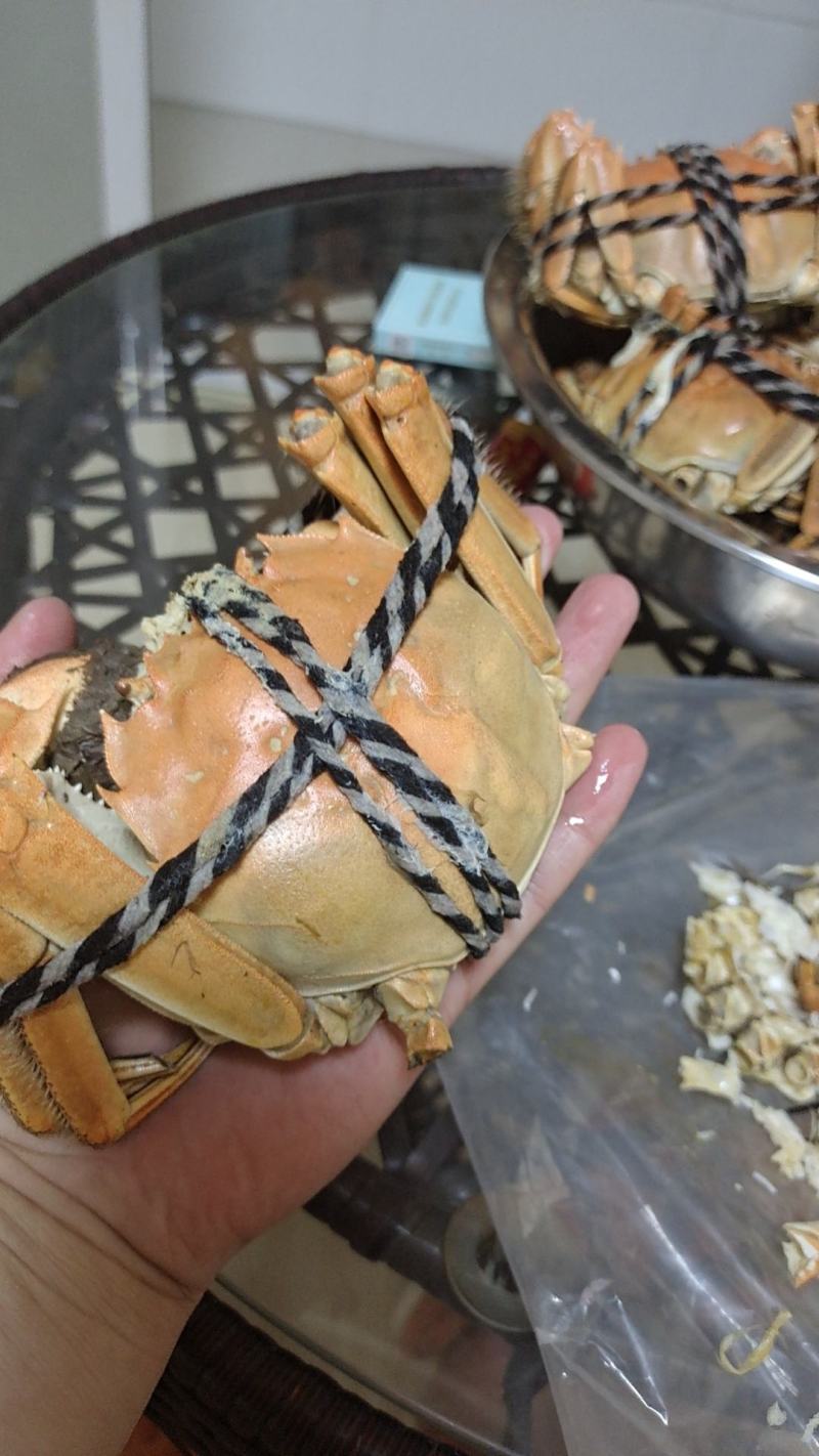 正宗江苏兴化大闸蟹肉质饱满，底板干净满膏满黄