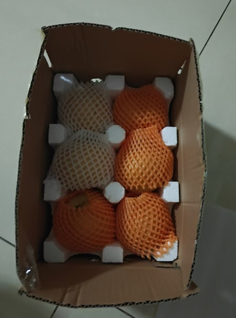 河北邯郸秋月梨大量上市，多汁甜脆，欢迎各位老板来电咨询