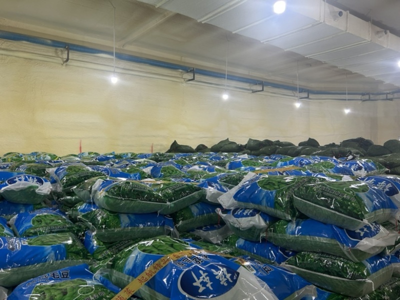 通货毛豆，打米豆货源充足欢迎各位电联