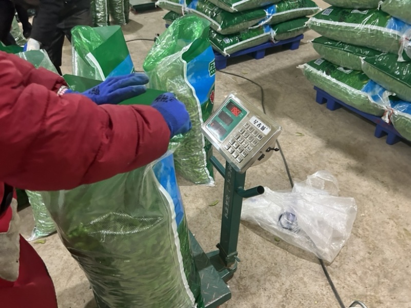 通货毛豆，打米豆货源充足欢迎各位电联