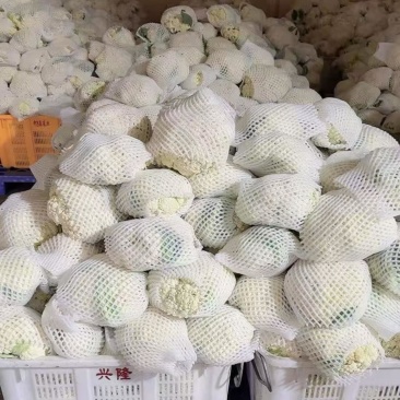 精品花菜