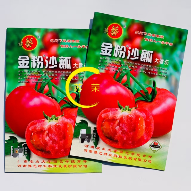 豫艺金粉沙瓤西红柿种子自封顶大果粉红番茄种籽春秋播种抗病