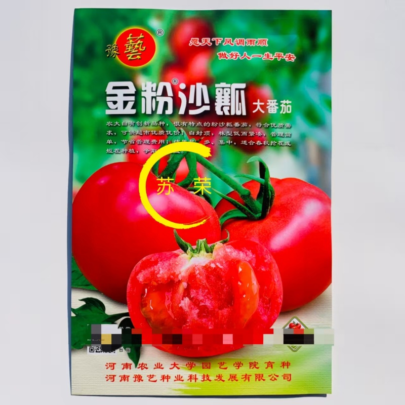 豫艺金粉沙瓤西红柿种子自封顶大果粉红番茄种籽春秋播种抗病
