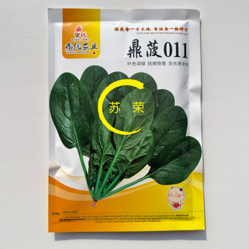 鼎菠011菠菜种子叶色深绿抗病性强生长速度快菠菜种籽