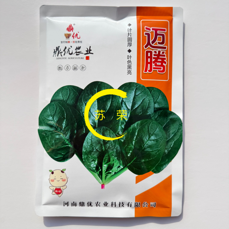 鼎优迈腾菠菜种子高产抗病耐热耐寒农家菜园基地种植蔬菜