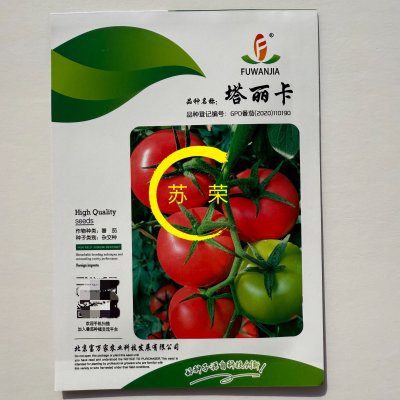 塔丽卡粉红番茄种子无限生长型硬果高产抗病西红柿种籽