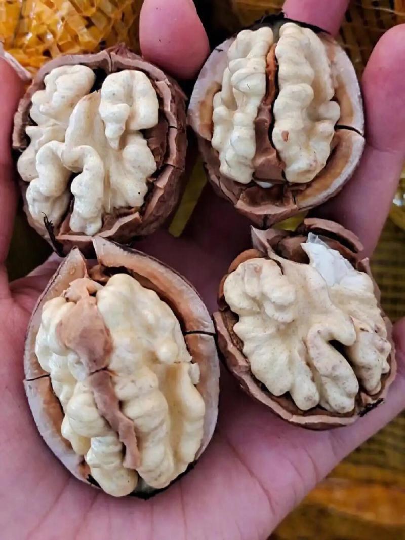 核桃