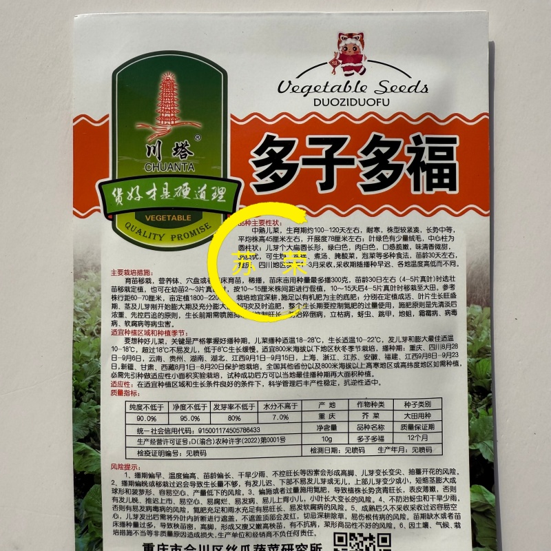 多子多福中熟儿菜种子耐寒性强口感脆嫩品质优良