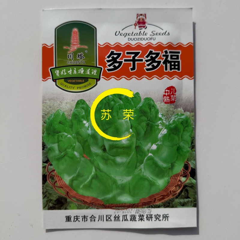 多子多福中熟儿菜种子耐寒性强口感脆嫩品质优良