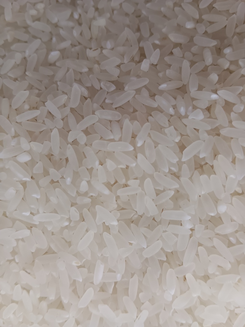 大米东北长粒香大米大量上市，量大价格从优，产地直销