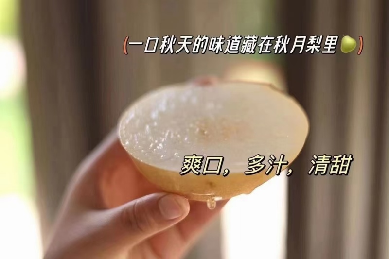 秋月梨