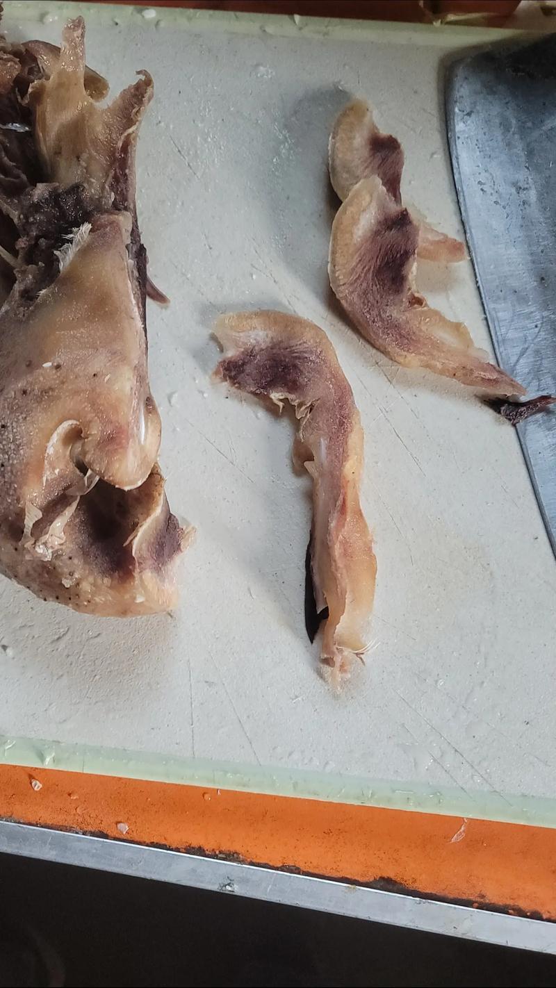 牛鼻子牛耳朵牛嘴清水退毛毛退的干净火烧退毛