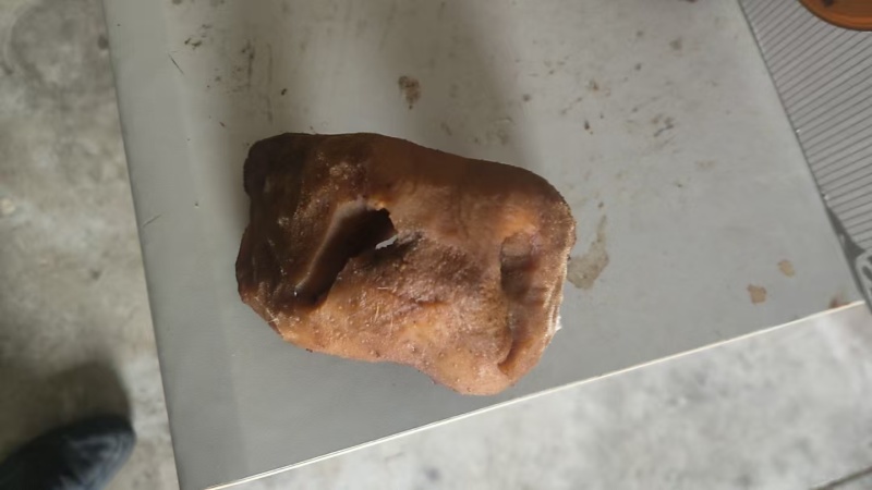 牛鼻子牛耳朵牛嘴清水退毛毛退的干净火烧退毛