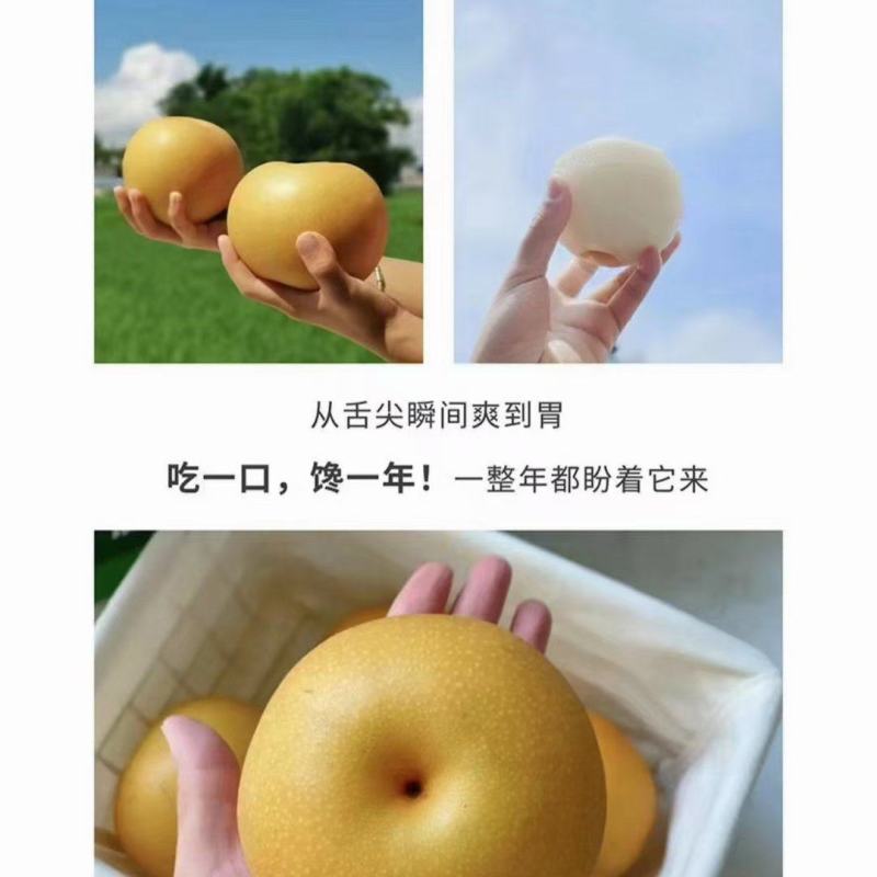 秋月梨