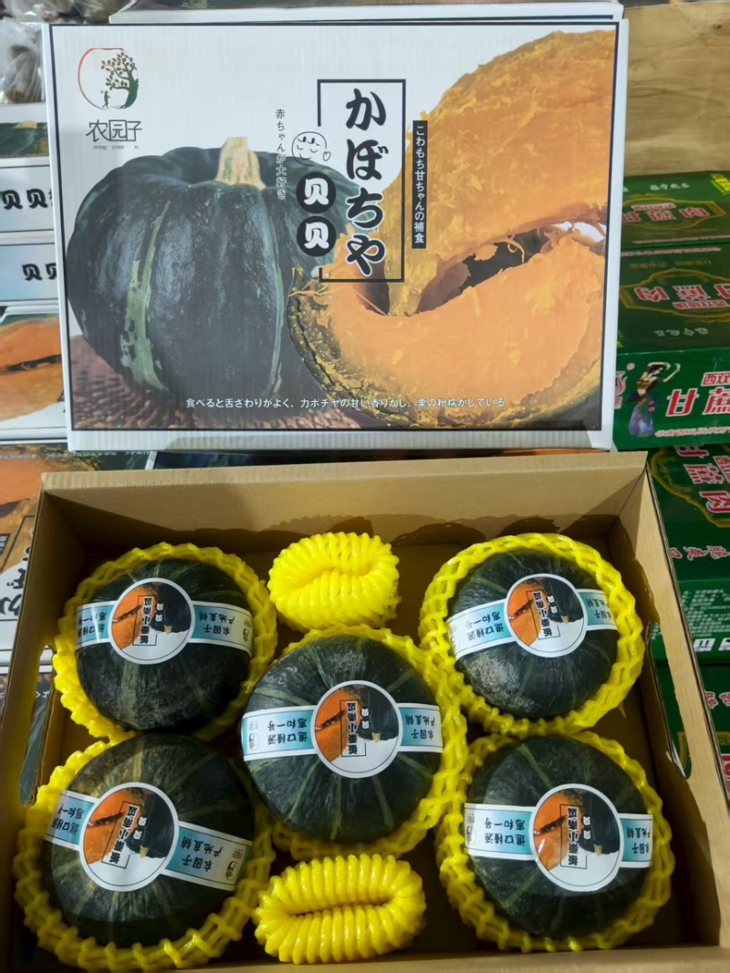 农园子惠农一号贝贝南瓜