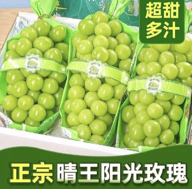 阳光玫瑰，精品阳光玫瑰葡萄，颗粒大，口感好，产地直发，發