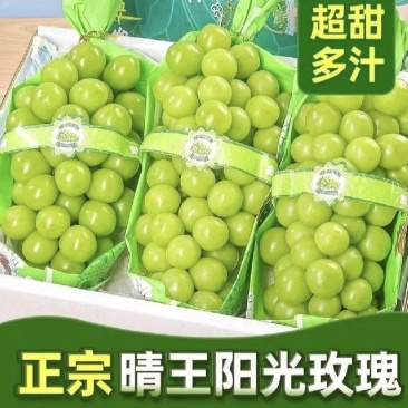阳光玫瑰，精品阳光玫瑰葡萄，颗粒大，口感好，产地直发，發