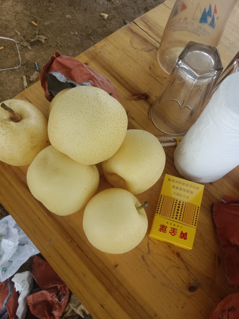 河南南阳博望黄金梨，晚秋黄梨