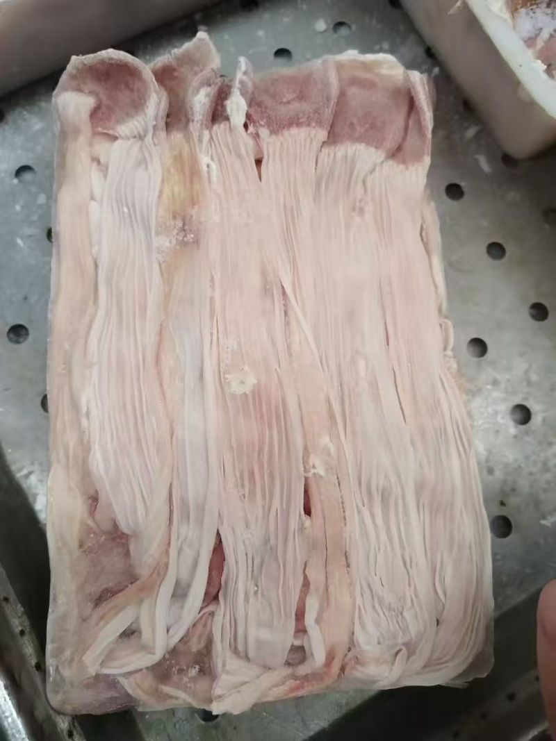 小鸭食带