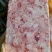 带皮胸肉块/胸碎肉/腿碎肉/手工修胸碎肉