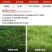 开荒锄2甲二甲四氯钠草甘膦铵盐93%荒地非耕地农药