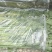 新疆喀什地区伽师县芹菜大量上市