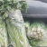 新疆喀什地区伽师县芹菜大量上市
