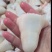 精修丁尾，猪尾