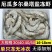 太平洋大虾厄瓜多尔桑塔白虾盐冻鲜嫩紧实多规格1.5千克