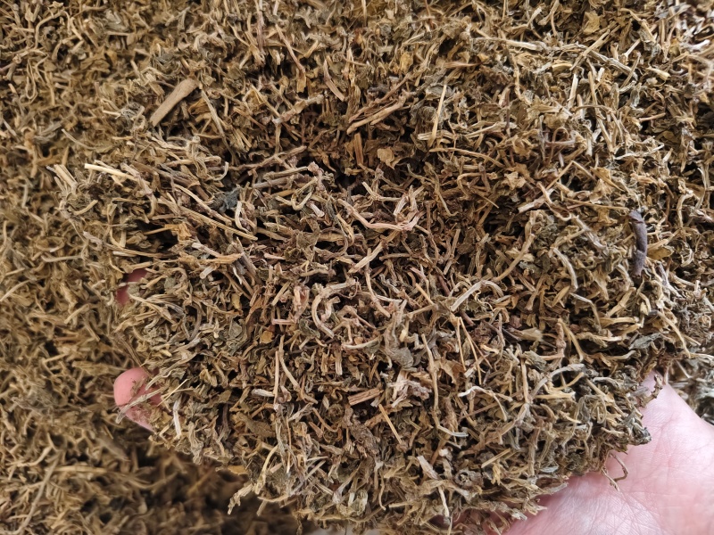 垂盆草新货垂盆草干净无硫批发零售量大从优